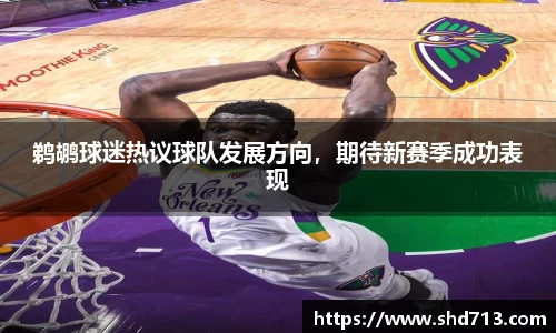 鹈鹕球迷热议球队发展方向，期待新赛季成功表现