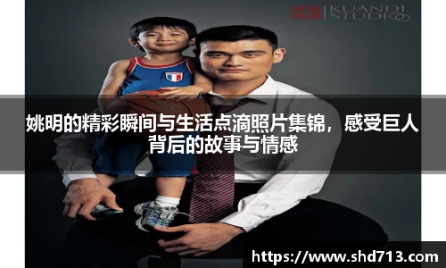摩根综合体育官网