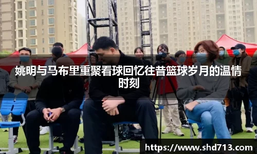 摩根综合体育官网