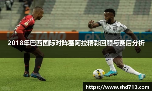 摩根体育娱乐