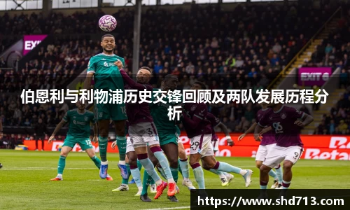 摩根综合体育官网