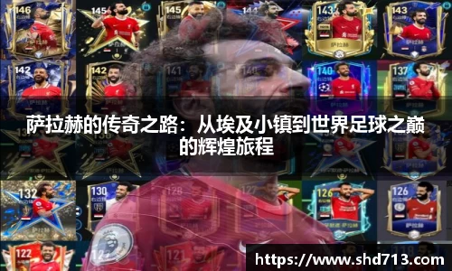 摩根体育娱乐